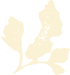 ndf-icon-leaf-light-right ndf-icon-leaf-light-right