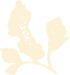 ndf-icon-leaf-light-left